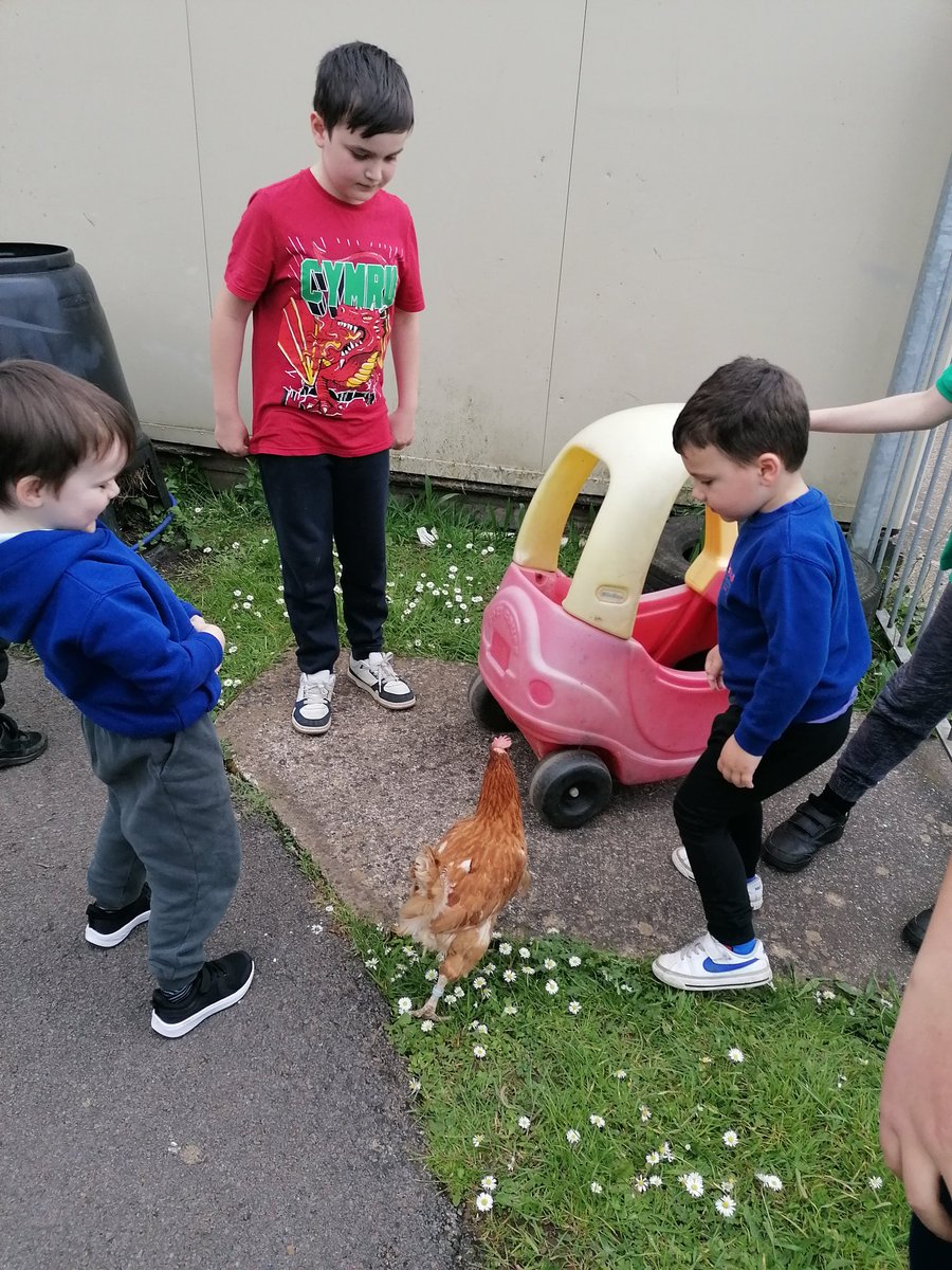 Llanishen Fach tweet media