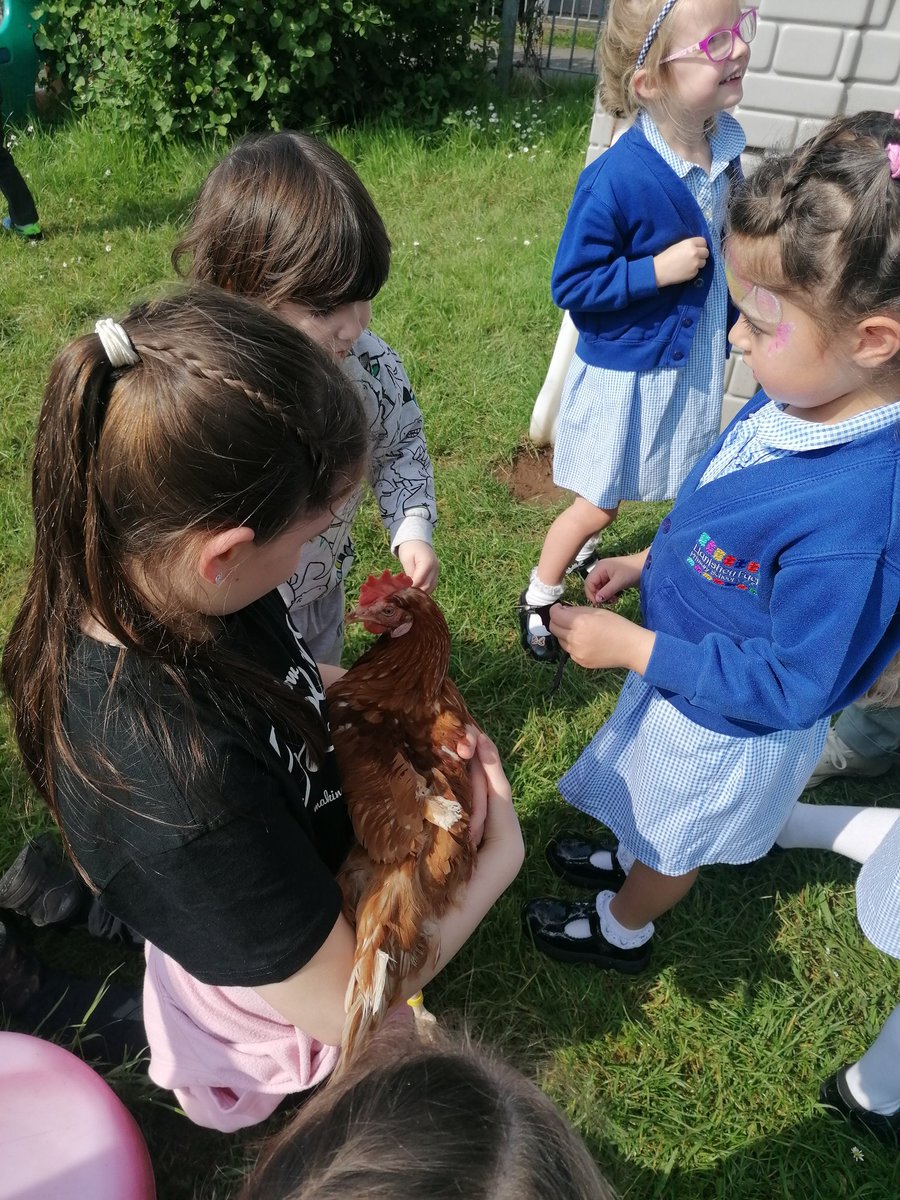 Llanishen Fach tweet media