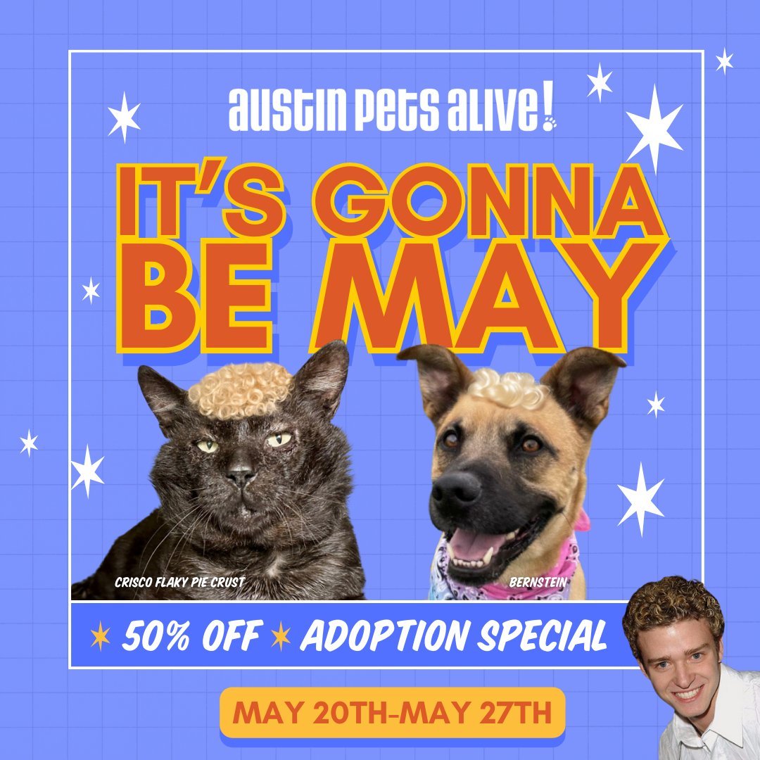 We want to see our pets out the door & tell them bye, bye, bye! 🤪 5/20 - 5/27 adoption fees* will be 50% OFF for ALL pets on-site & in foster homes. No strings attached! 🐾 austinpetsalive.org/adopt *Refundable spay/neuter deposits apply. #AustinPetsAlive #NSYNC #ByeByeBye