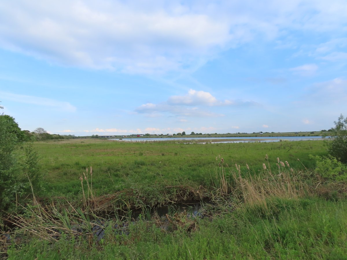 Duerden Cormack (@duerdenc1) on Twitter photo Three Cranes NW over West Brook Pit was a nice surprise on the way home from work this evening! <a href="/CambsBirdClub/">Cambs Bird Club</a> Three Cranes NW over West Brook Pit was a nice surprise on the way home from work this evening! <a href="/CambsBirdClub/">Cambs Bird Club</a>