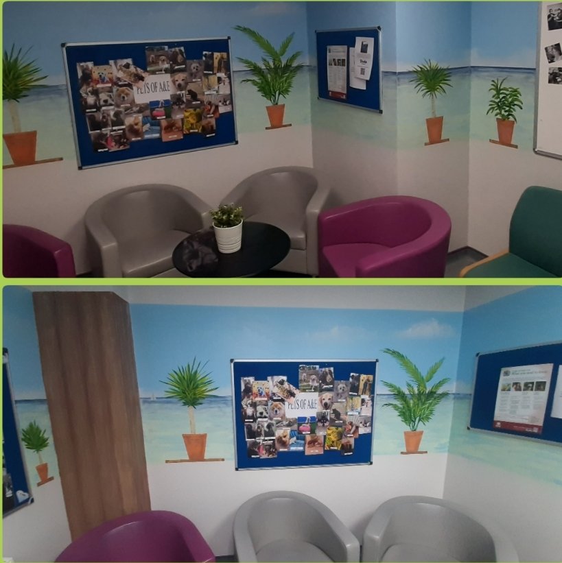 AED- Bradford Emergency Department π (@aedbthft) on Twitter photo Our newly revamped safe space "The ED wobble room " where our team can take time out to talk, reflect or just to have time away. Thankyou to <a href="/BTHFTCharity/">Bradford Hospitals Charity</a> and the artist for making this happen, very grateful <a href="/aedbthft/">AED- Bradford Emergency Department π</a>
<a href="/karendawber/">Prof Karen Dawber π</a> @Mel_Pickup <a href="/EmmaClintonAED/">Emma Clinton</a> <a href="/windle_tania/">Tania Windle</a> Our newly revamped safe space "The ED wobble room " where our team can take time out to talk, reflect or just to have time away. Thankyou to <a href="/BTHFTCharity/">Bradford Hospitals Charity</a> and the artist for making this happen, very grateful <a href="/aedbthft/">AED- Bradford Emergency Department π</a>
<a href="/karendawber/">Prof Karen Dawber π</a> @Mel_Pickup <a href="/EmmaClintonAED/">Emma Clinton</a> <a href="/windle_tania/">Tania Windle</a>