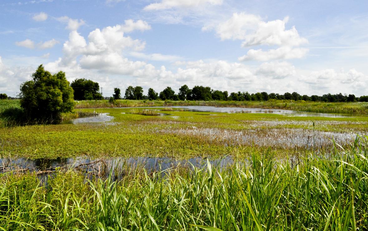 May is #AmericanWetlandsMonth! Why are we celebrating wetlands? They are among the most productive ecosystems on the planet, support biodiversity, protect coastlines, improve water quality, and so much more! Learn more about USGS #wetland science: ow.ly/JrGs50RyMRB