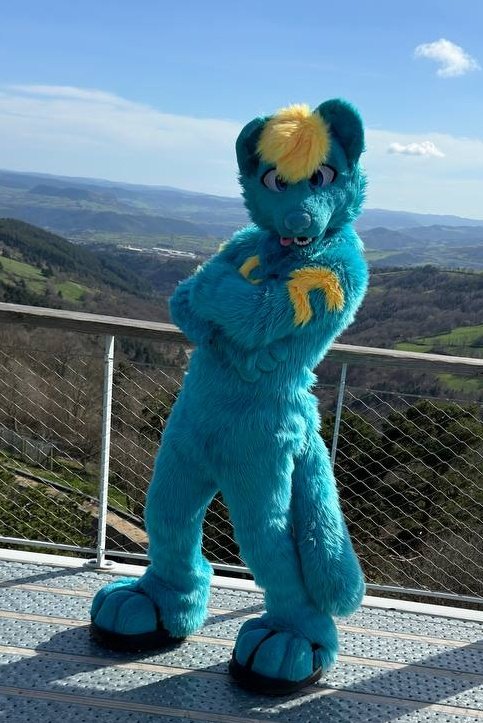 Both views are amazing ~ 😎 📸 by @The_Foxy_Apollo