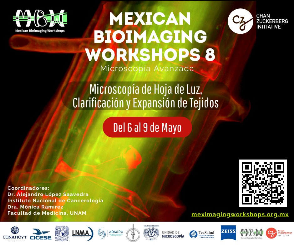 Comunidad Mexicana de BioImagen tweet media