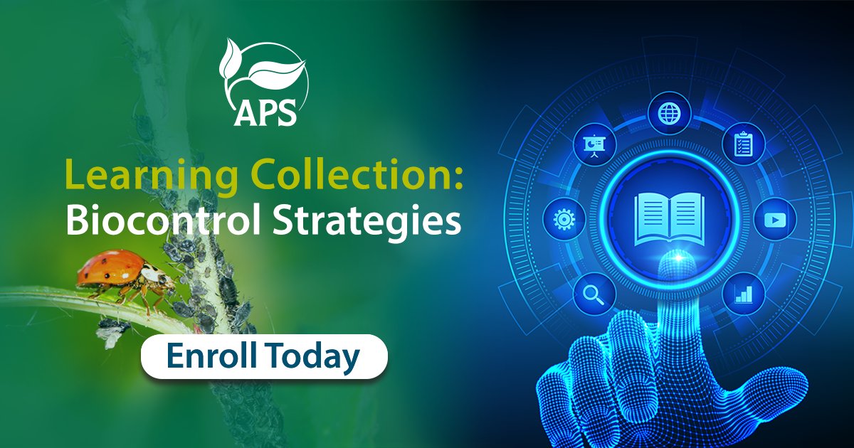 plantdisease's tweet image. Discover the latest findings in the use of beneficial microbes  to manage plant diseases with the #Biocontrol Strategies Learning Collection. Enroll today to view resources on this important topic! bit.ly/3TmddUK