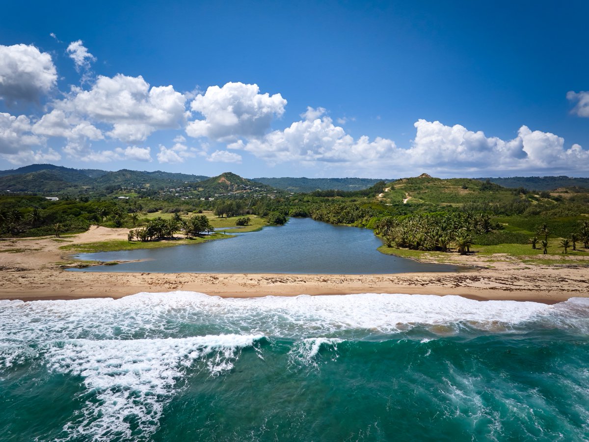 Nestled on our picturesque island lies a hidden gem known as Walkers Reserve. This pristine natural reserve is a sanctuary for both wildlife enthusiasts and those seeking solace in the midst of untouched beauty. #VisitBarbados #LoveBarbados #MyBarbados