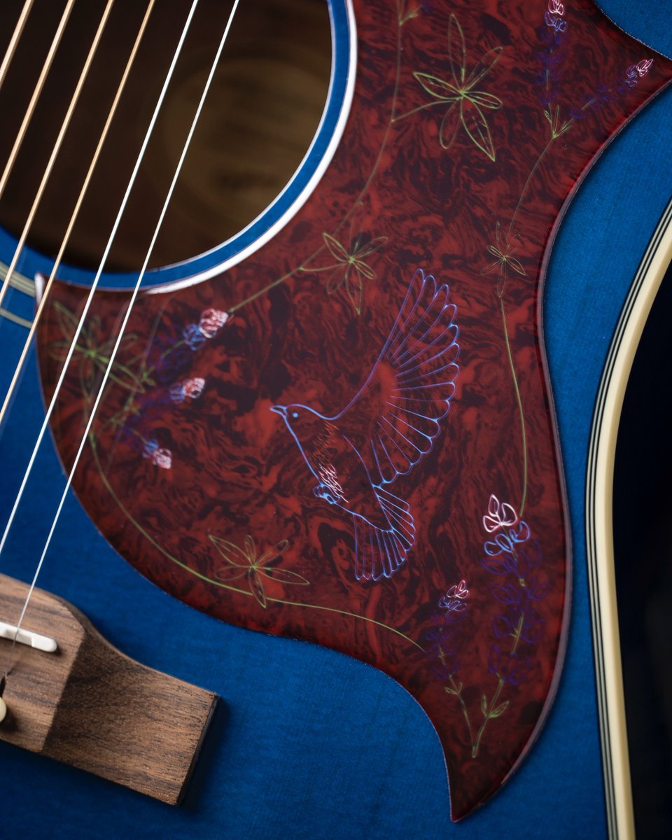 Bluebird in your heart. The @Epiphone @mirandalambert Bluebird Studio is a personalized play on the iconic Hummingbird design with a vivid Bluebonnet gloss finish and custom pickguard! 

Check it out: ow.ly/vznC50RyMFb