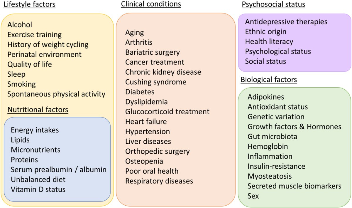 Los expertos identifican 5 factores principales asociados a la obesidad sarcopénica 💪📊 1⃣ Actividad física espontánea 💃 2⃣ Proteínas 🥩 3⃣ Ingesta energética 🍽️ 4⃣ Entrenamiento físico 🏋️‍♂️ 5⃣ Envejecimiento 👵 sciencedirect.com/science/articl…