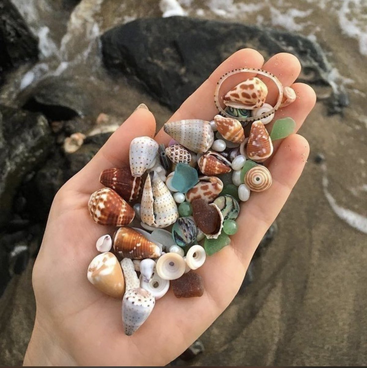 voonpie's tweet image. -: summer accountability thread :-