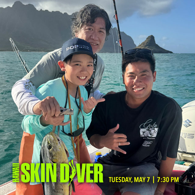 Learn how to enhance the taste and texture of fish through the technique of ikejime, a method of dispatching fish used in Japan for centuries, tonight on Hawaii Skin Diver at 7:30 PM.

#spectrumoc16 #hawaiiskindiver