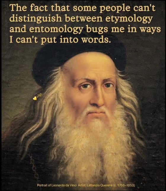 We can't get enough of this meme we found floating around the internet!  

#etymology #humor #meme #entomology #davinci