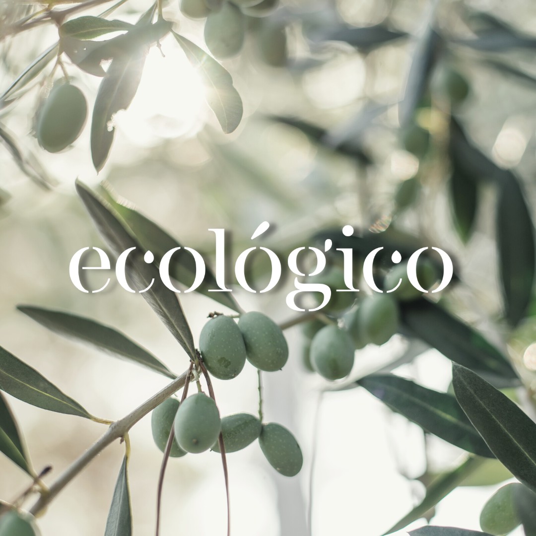 El aceite de oliva ecológico está ganando terreno en todo el mundo 🌿🌍🍈

En nuestro blog te contamos por qué cada vez más consumidores prefieren productos saludables y sostenibles 👉 envero.es/la-creciente-d…

#AceiteDeOlivaEcológico #Sostenibilidad #OlivarEcológico #Aove #Envero