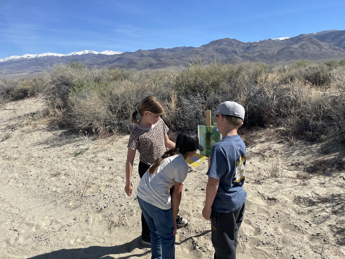 Last month, our Eastern Sierra Adopt-A-School program took Bishop Elementary 3rd graders exploring with watershed scavenger hunts, investigations on carnivore vs. herbivore diets, and water quality testing during their annual Buckley Pond field trip. #LADWPintheEasternSierra