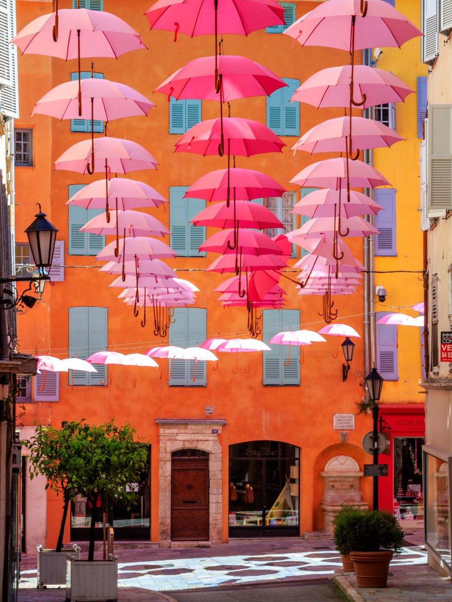 La ville de Grasse se prépare au Festival de la Rose ( Exporose) qui aura lieu du 9 au 12 mai
L’installation des fameux parapluies dans toutes les ruelles a été faite

Belle soirée 

#CotedAzurFrance #Grasse 
@VisitCotedazur