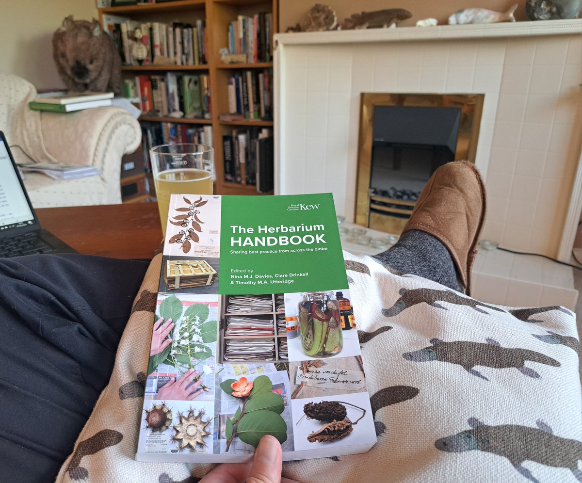 Right then. I've been working in zoology #museums for 20 years... It's time to find out what the botanists get up to. #SquashingPlants 🪴🌱🌿🌾🌵☘️ #Herbarium