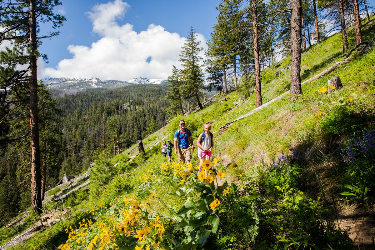 Spring isn't just another season here—it's wildflower season. As the weather warms up, the landscape bursts into bloom, painting the trails and hillsides. Here’s what to see and where to find them! bit.ly/3wh4ZFU 📷: Noah Couser #RecreateResponsibly #GlacierMT #Montana