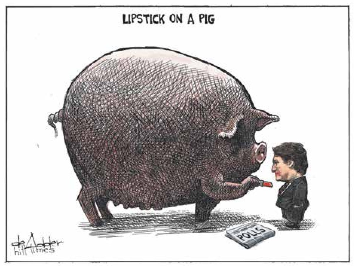 (Michael de Adder - Hill TImes)