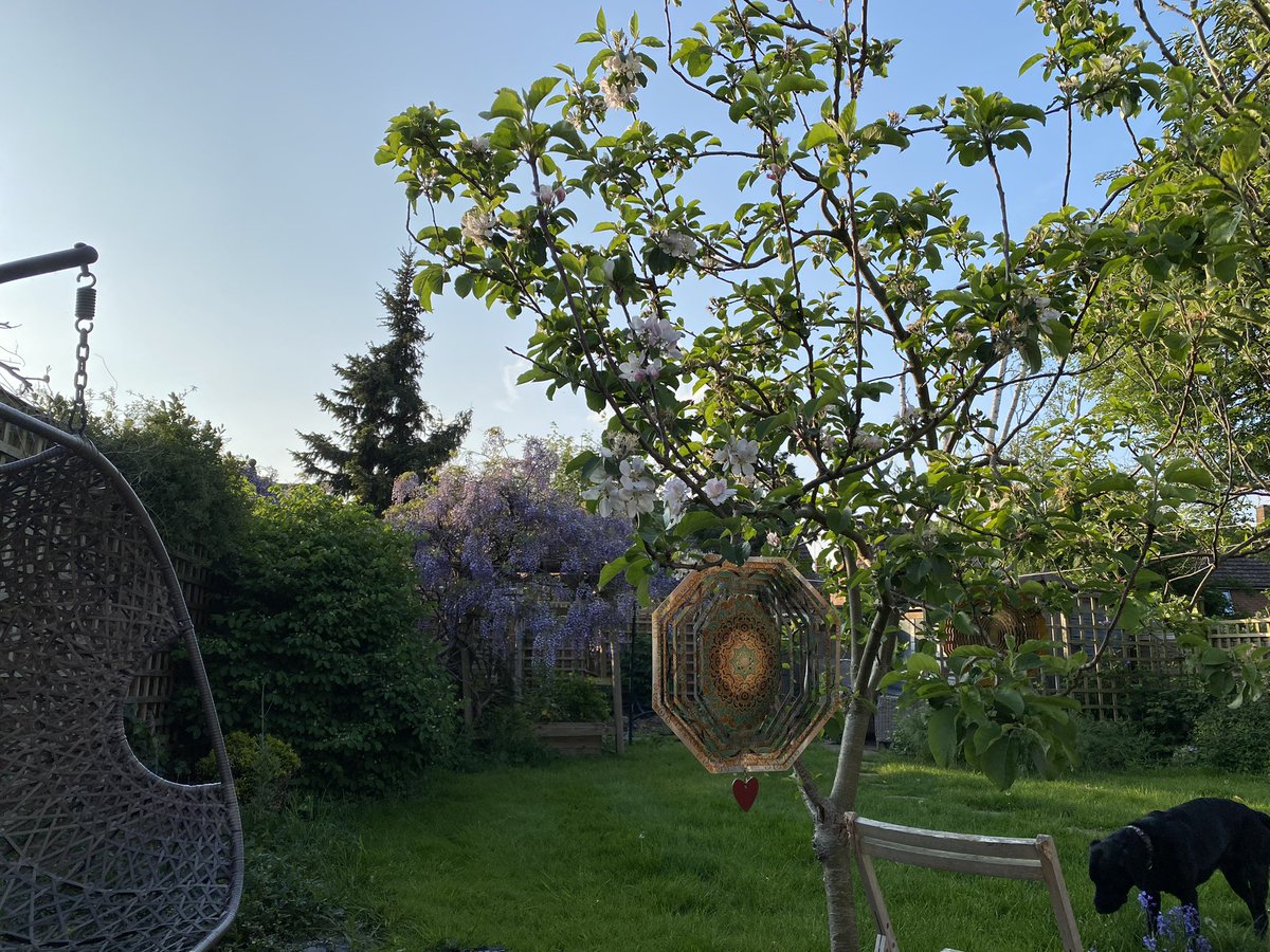 Relaxing evenings begin