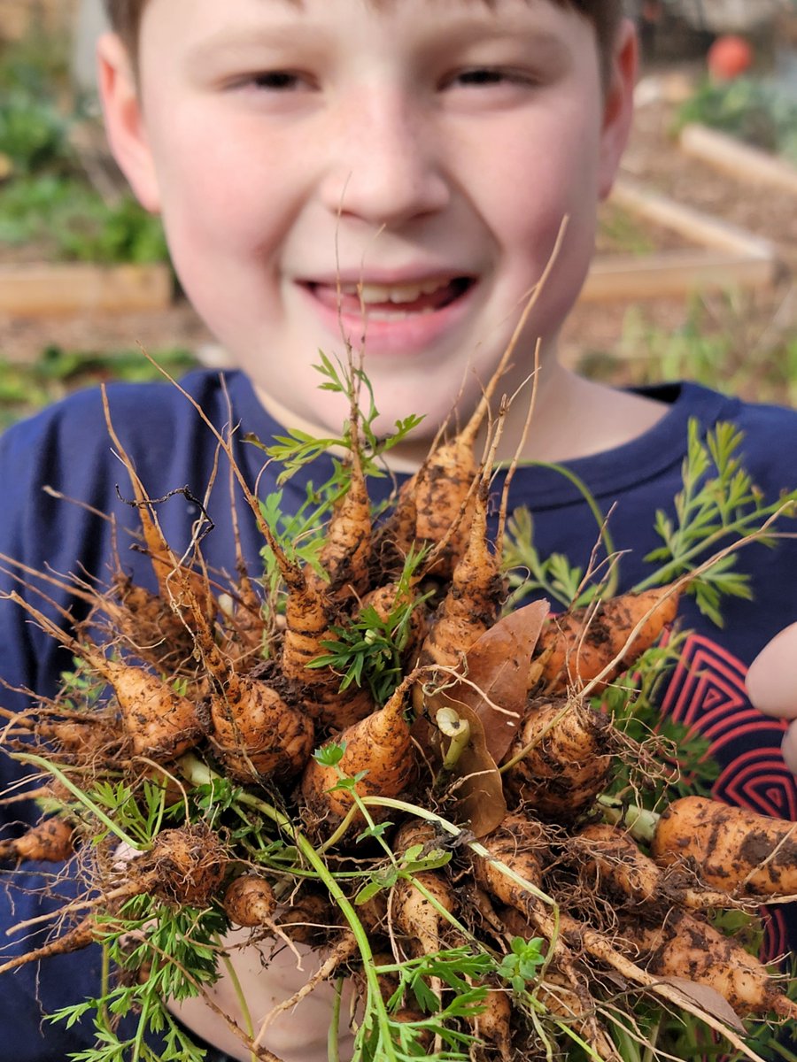 Happy Wheels tweet media