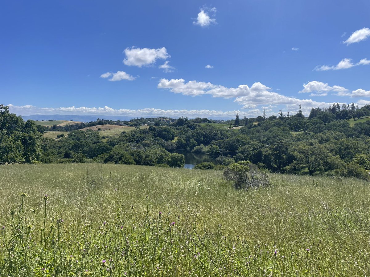 What a perfect way to end the weekend! #StanDOM fellows from @StanfordRheum & @Stanford_ID joining our spontaneous hike through Pearson-Arastradero Preserve last Sunday. @StanfordMed @StanfordDeptMed