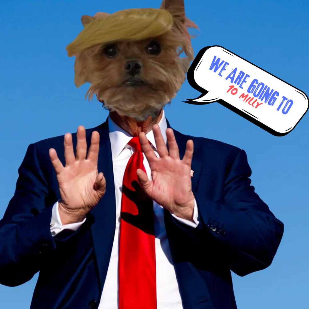 DONALDDOGCTO's tweet photo. @pccastagnoli $DG IS THE TICKER OF COURSE

CA : J2MufPE2pw42Crx4tkgA9Le8hriWquGQgmj55BoPqp5K

dev jeeted, cto in, dex updated, ads paid, sol trending soon whats left??? https://t.co/Y8zhROMyXj