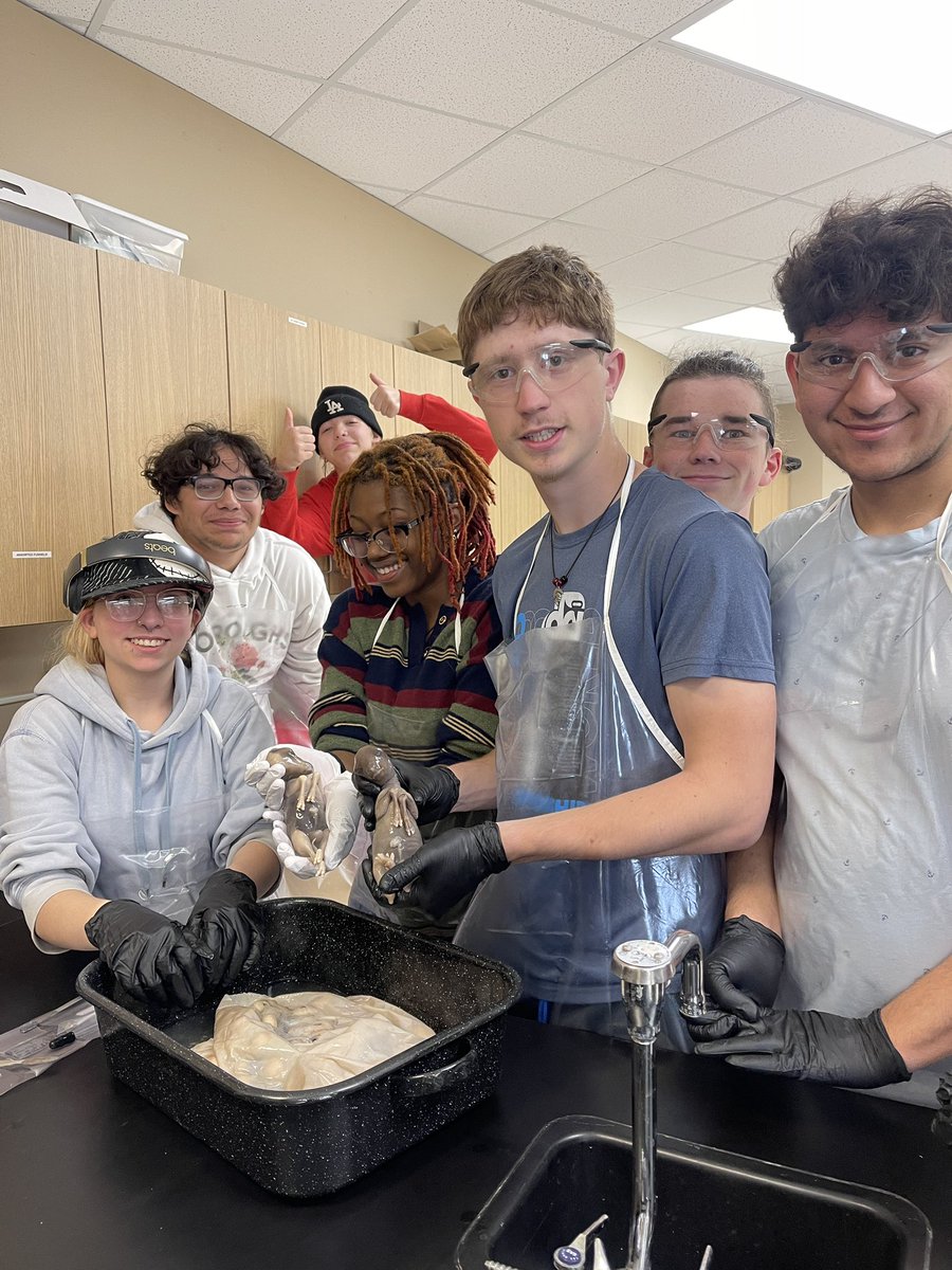 Animal Science students dissected 4 different species (Cow, Sheep, Goat, Pig) of uteruses as a part of the animal reproduction unit