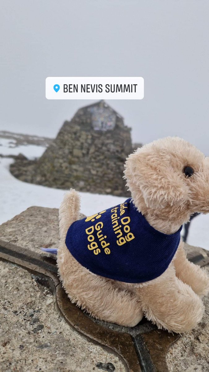 That's Ben Nevis done and dusted, first of four.
No views at the top.
Scafell Pike tomorrow.

justgiving.com/page/4and4in24

<a href="/guidedogs/">Guide Dogs</a> <a href="/guidedogsni/">Guide Dogs NI</a>