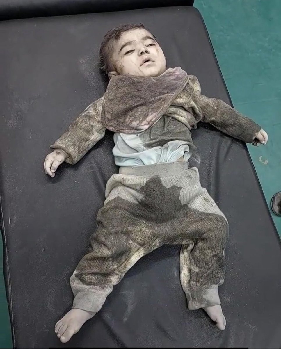 Ignorant Israel is killing more children every day; don't stay silent about it.

İsrail her geçen gün daha fazla çocuk  öldürüyor. Buna sessiz kalmayın.

#getoutofrafah