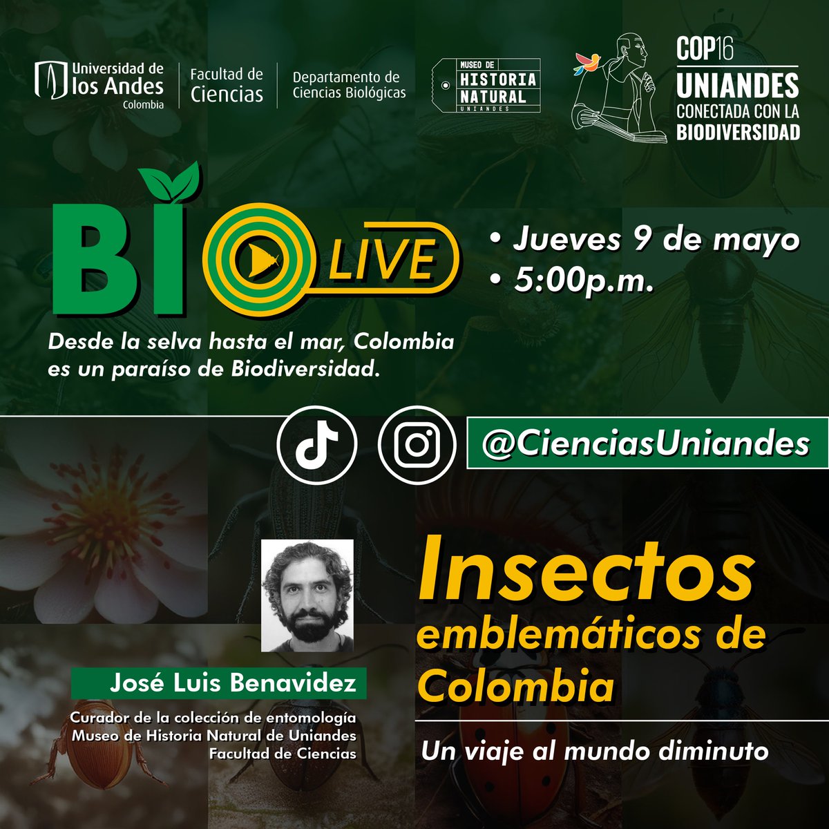 🌿 En el marco de la @COP16Colombia, hemos diseñado una serie de Lives donde exploramos la biodiversidad de 🇨🇴 a través de las colecciones biológicas del @MHNuniandes. 📍 Jueves 9 de mayo a las 5.00 pm. 📺 Transmisión en vivo desde Instagram y TikTok de @cienciasuniandes.