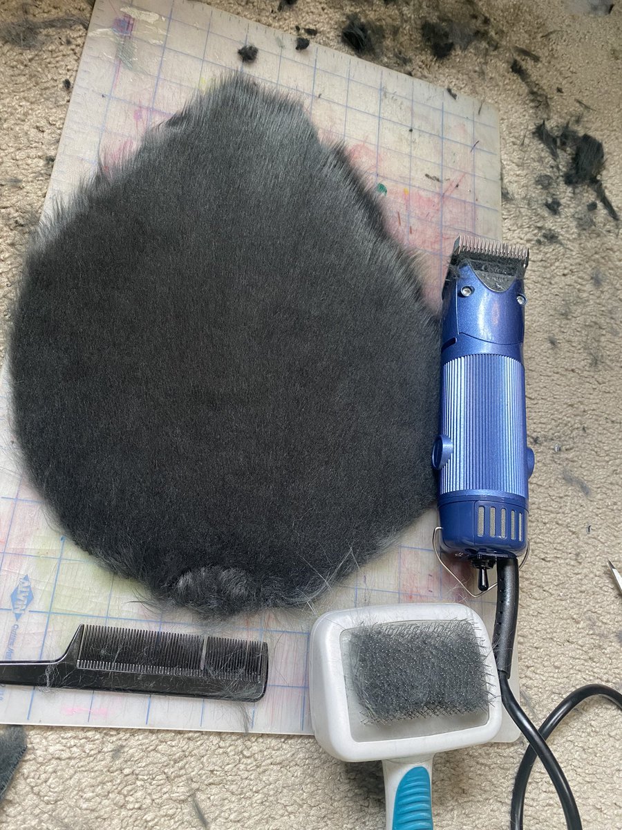 @28ghostiez.com 🦋 (@28ghostiez) on Twitter photo Holy cow <a href="/HowlFabric/">Howl Fabric</a> charcoal lux shag is such a dream to shave down 🤤. I’ve genuinely never shaved fur thats this nice to work with idk if it’s just this batch but guhhhh 10/10 Holy cow <a href="/HowlFabric/">Howl Fabric</a> charcoal lux shag is such a dream to shave down 🤤. I’ve genuinely never shaved fur thats this nice to work with idk if it’s just this batch but guhhhh 10/10