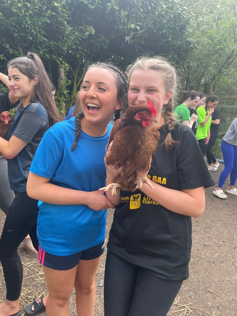 What a day our TYs had ⁦@causeyfarm⁩ today! Such fun! Poultry adoption not an option! 🐓Who knew jumping in a bog would be such a challenge!! #fun #bog #TY