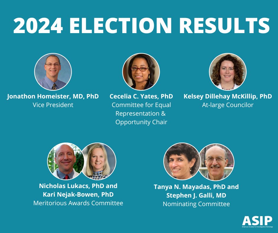 Congratulations to the newly elected members of the ASIP Leadership, Meritorious Awards Committee, and Nominating Committee! These results were announced at the Business Meeting during #Pathobiology2024 in Baltimore. New terms will begin on July 1.