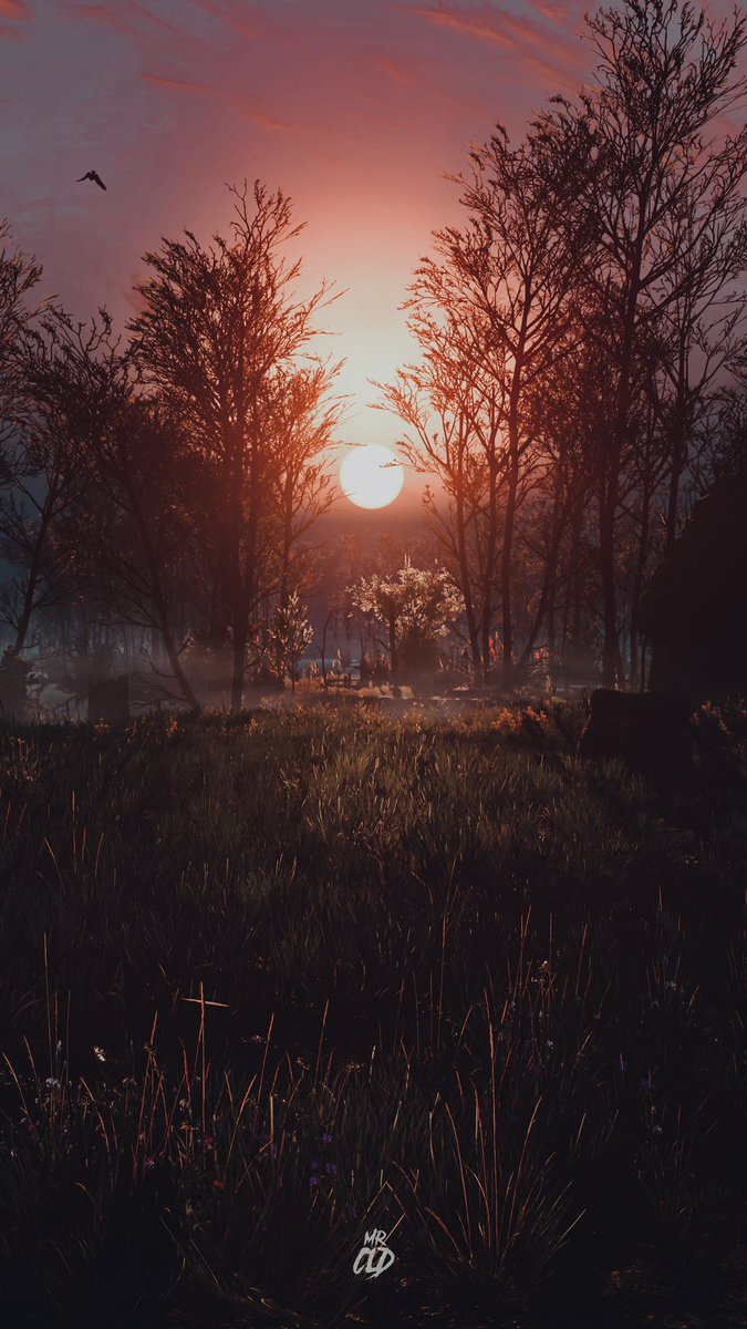 ▪️Start a new day
🎮 #TheWitcher3 

#TheWitcher3WildHunt #VPRT #VPCONTEXT #VirtualPhotography #VGPNetwork #LandofVP #WorldofVP #VPGamers #ArtisticofSociety #VGPUnite #ThePhotoMode #TheCapturedCollective