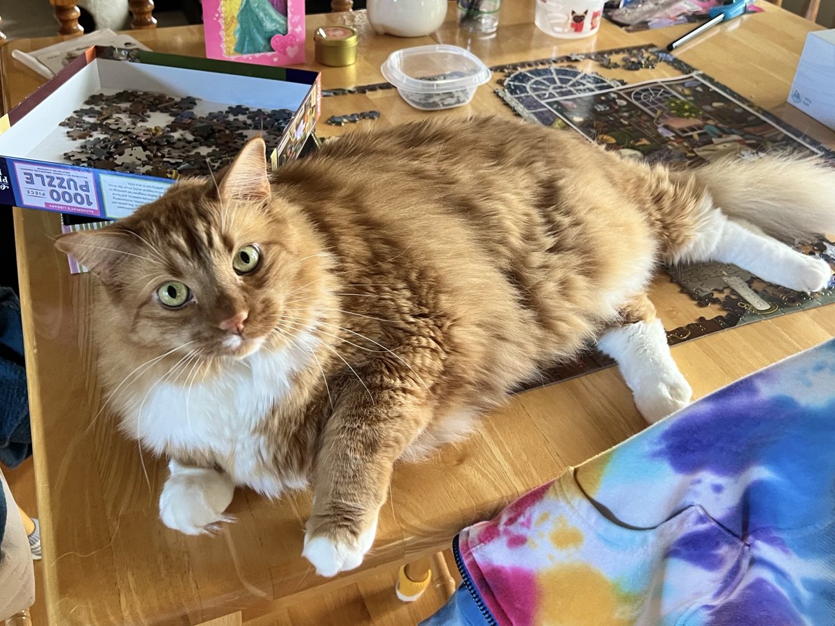 Naughty gingers sit on puzzles in progress