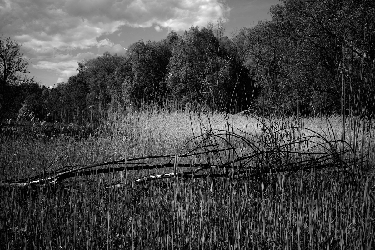 Secret place 2015.

#BeAlpha #VSCO #SonyAlpha #landscapephoto #Ukraine #rx1 #landscapephotography #blackandwhite  #blackandwhitephotography #blackandwhitephoto #NaturePhotography #35mm #35mmfilm