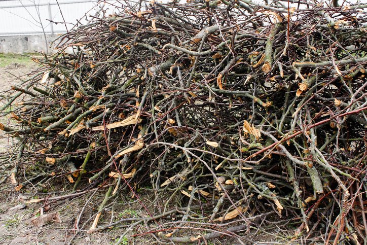 Gather up that woody waste and schedule a curbside pickup! You must register by 4:30 p.m. Thursday at mylebo.mtlebanon.org. Materials collected are limited to shrubs, tree branches and limbs.