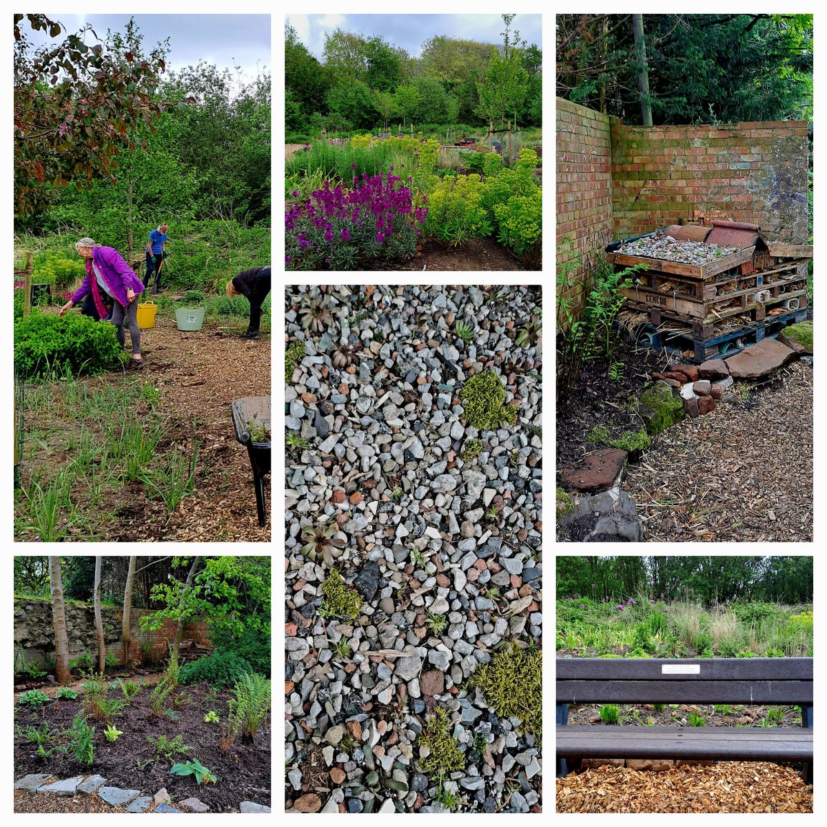 <a href="/CaldiesSaved/">Calderstones Park Forever</a>
Calderstones Nature Reserve starting the bloom. Bug house now has an interesting roof. Our new fern garden. Thanks to Tony for the bench and <a href="/PostcodeLottery/">Postcode Lottery</a> for funding. Volunteers needed  call in Tuesday 10 -3 or fhcp30@talktalk.net for details