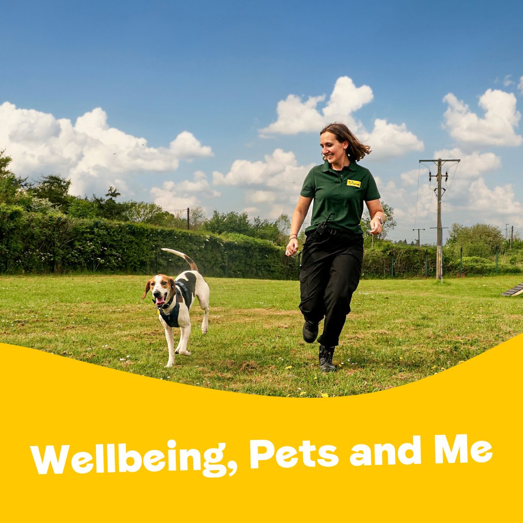 Join the Pet Education Partnership, celeb Jodie Ounsley & TV's @maxandharvey as we talk about how movement can improve the mental & physical health of people & pets in a free webinar all about ‘Wellbeing, Pets and Me’ 🐾 Register here 👉 bit.ly/3xO0p2l