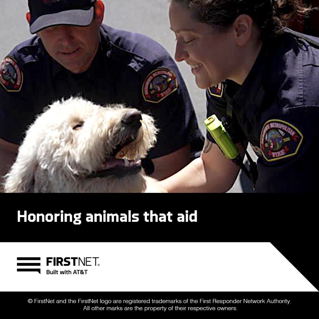 This National Therapy Animal Day, we celebrate how our ROG The Dog program is connecting first responders to loveable Labradoodles to support those giving their all. Learn about their impact here: firstnet.com/community/news…