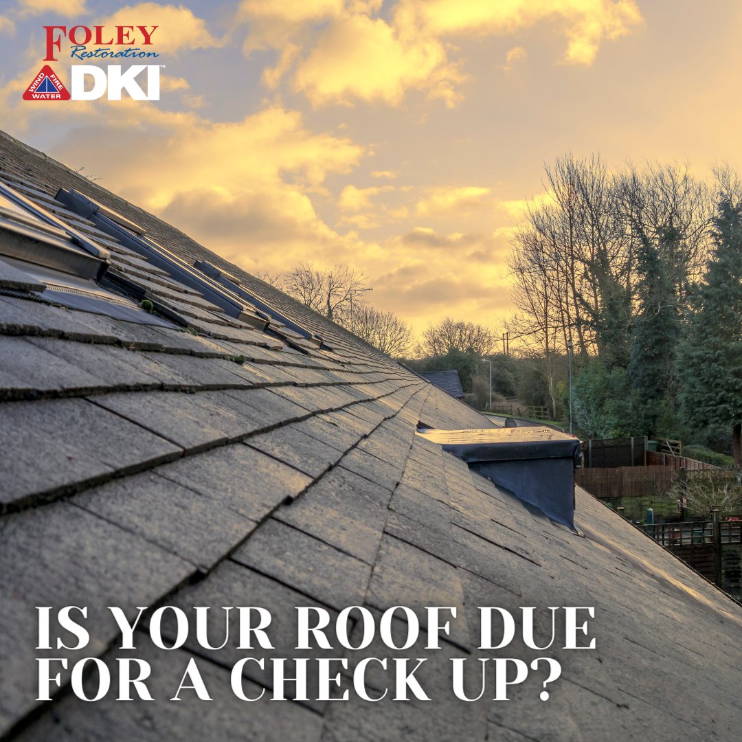 Regular roof inspections are like health check-ups for your home, helping to identify issues early to avoid larger issues down the road.

Give your roof some TLC and schedule an inspection today! Visit foleyrestoration.com