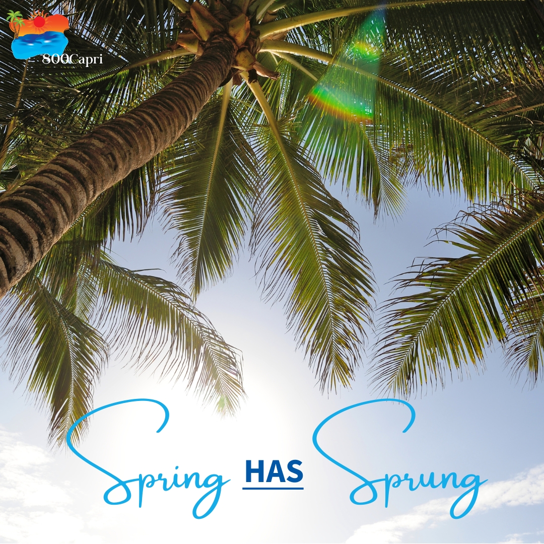 #Spring is in full swing at #800Capri! 🌴 Embrace the season with outdoor workouts, sunshine, fresh air, and the perfect setting to stay fit. Join us and let's get moving!  #SpringIntoFitness #boutiqueapartments #boutiqueliving #coralgablesliving #SpringSeason