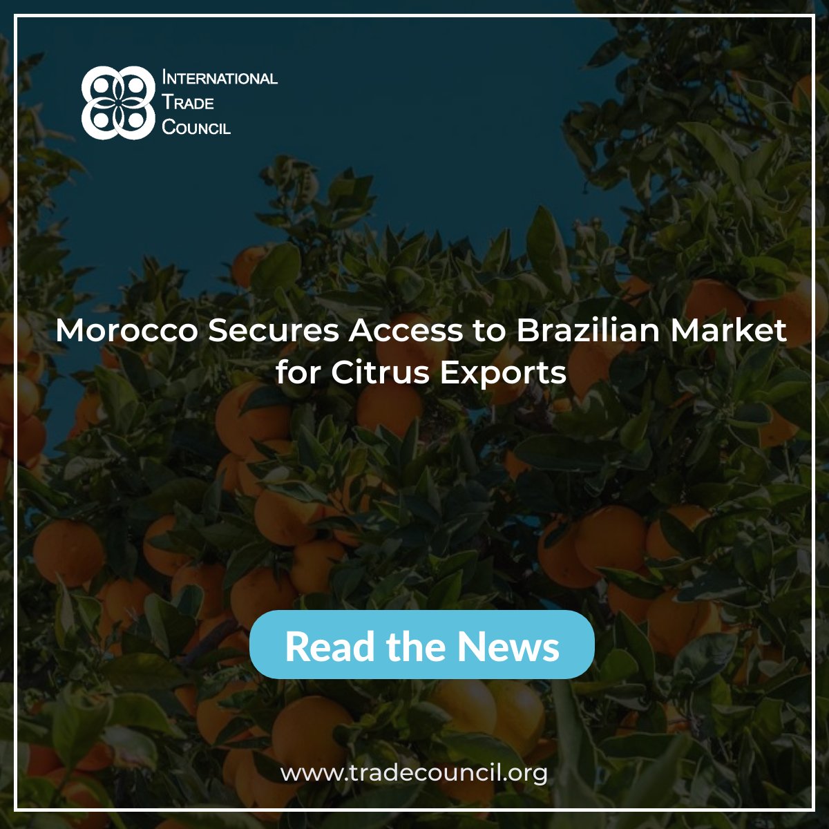Morocco Secures Access to Brazilian Market for Citrus Exports
Read The News: 
tradecouncil.org/morocco-secure…
#ITCNewsUpdates #BreakingNews #CitrusExports #MoroccoBrazilTrade #InternationalTrade #EconomicDevelopment #TradeRelations