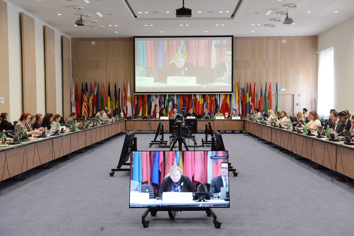 Freedom of expression is a human right & pillar of democracy. Today’s #HDC discussed: 🔹Persistent & emerging threats to FoE in OSCE region 🔹Impact of armed conflict on FoE & safety of journalists 🔹Threats faced by journalists covering the climate crisis 📷MickyKroell\OSCE
