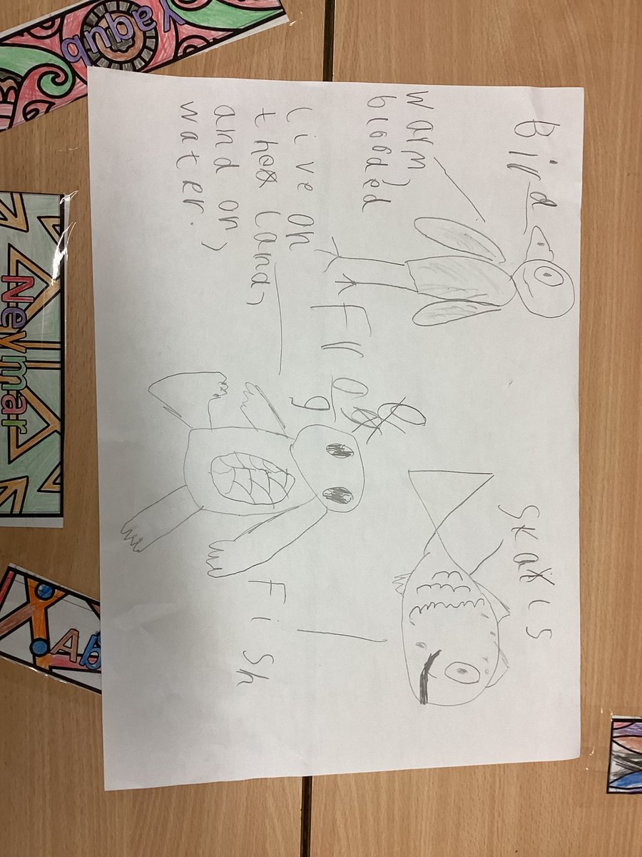 WhitewaysY1's tweet photo. Check out our Science learning from this week! We have been able to sort the features of different types of animals and have drawn pictures of them too. 
We have then chosen to draw more pictures in our free time to show off our understanding. https://t.co/D4znxui0Lk