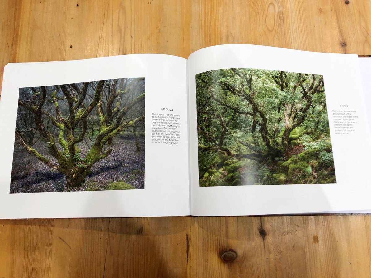 Delighted to receive my books 'Coedwig Gwyllt- Wild Woodland' documenting a more than ten-year love affair with a local temperate rainforest. I am thrilled that @guyshrubsole agreed to write an absolutely beautiful foreword for me. Review and buy here: andrewwarrenphotography.com/section885702.…