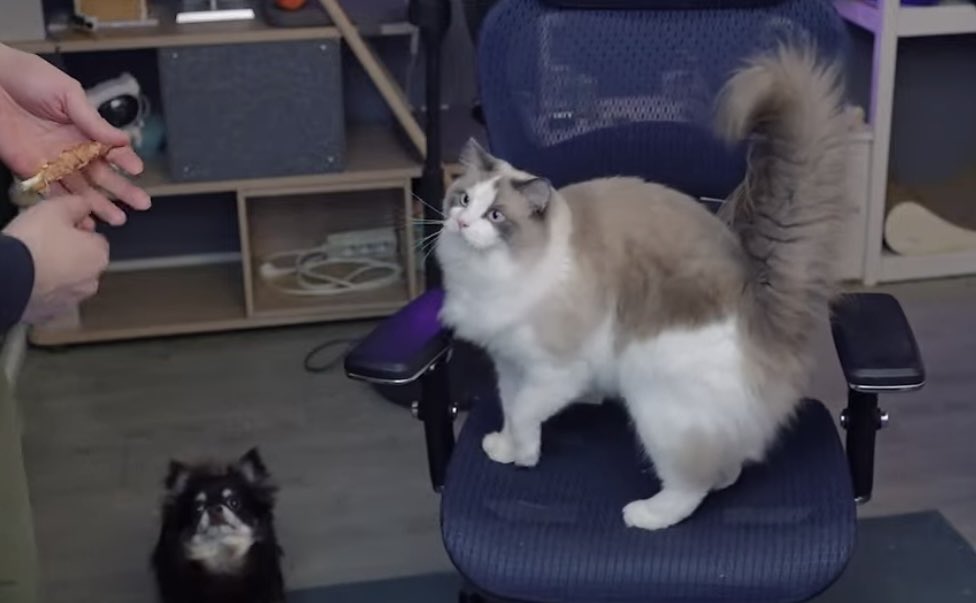 hsmw6 (@hsmw66) on Twitter photo 