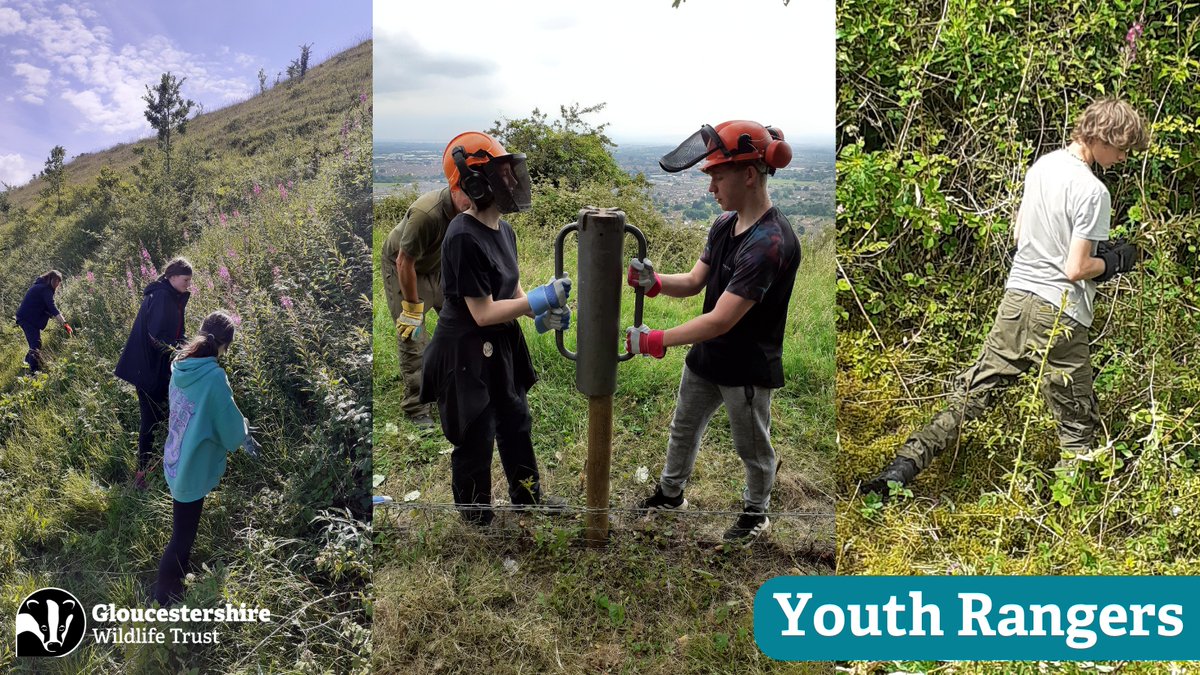 🌿🦋🌳 Join the Youth Rangers! 🌟 Hey, nature lovers! 🌿 Are you aged 13-17 and passionate about the great outdoors? 🌳 Want to make a real difference for wildlife while having fun? 🐦 For more info and to sign up, click the link below! 👇 ow.ly/rvmZ50RrZyU