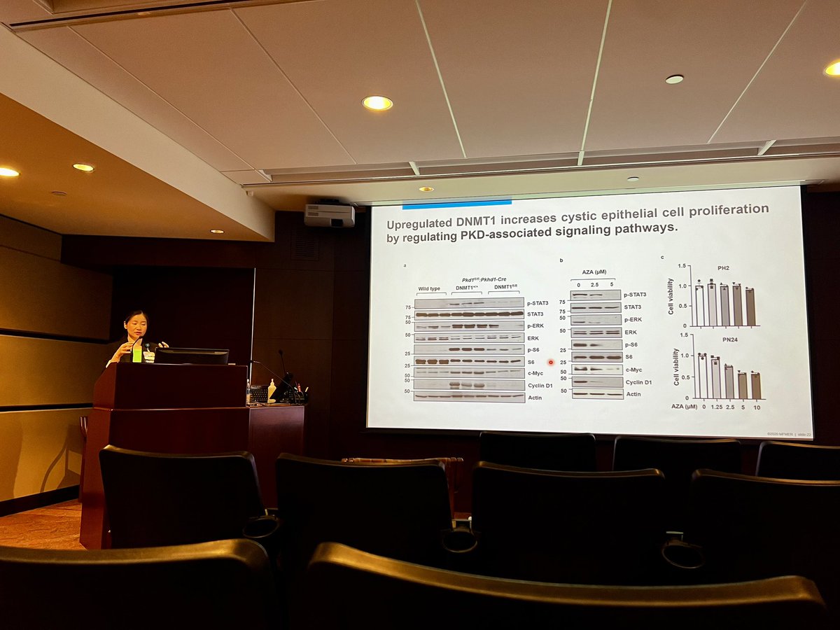 Today’s Grand Rounds with Dr. Xia (Julie) Zhou 🌟 focuses on integrating recent #PKD advancement. Summarizing drug treatments, comparing diagnostic strategies, and debating best practices. Excited for Julie to join our faculty and innovate in Polycystic Kidney Disease care! #PKD