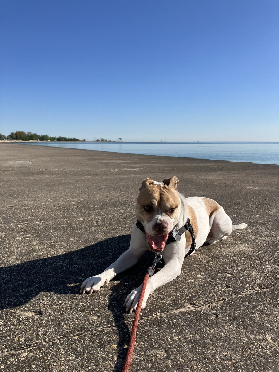 you could feel summer in your bones at the lake this morning