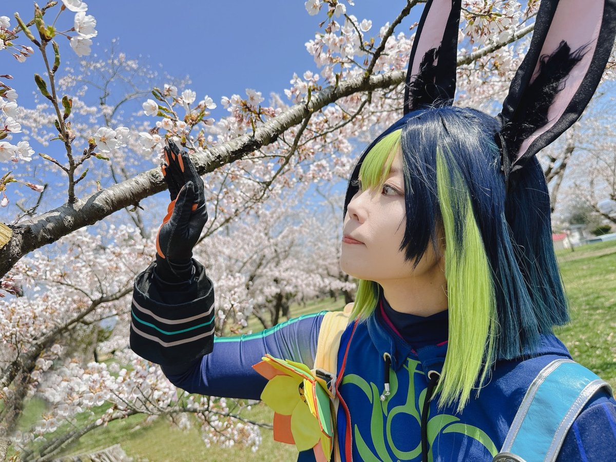 🍀cosplay🍀 原神/ティナリ 　「つぼみは枝に　花咲き満ちる」 📷Aoi #もりマスカレ